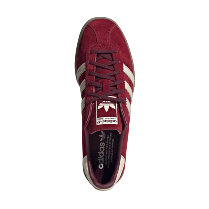 Adidas Bermuda - Collegiate Burgundy - Image 3